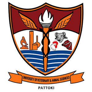 University-of-Veterinary-Animal-Sciences-pattoki